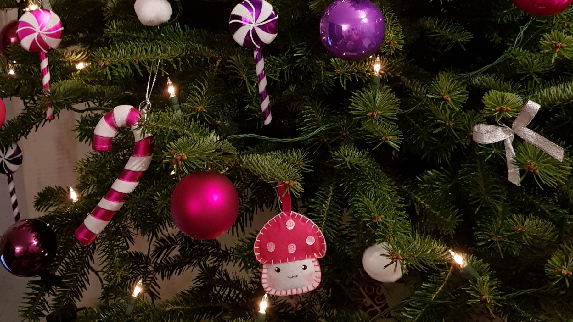 Bio Weihnachtsbaum macht alles schöner BiologischLecker